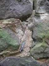 Michael Fulp House, mortar composition & application, #259 (2010)