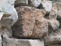 Fulp [Bridge Keeper's] House, see detailed caption #385 (2010)