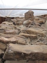 Fulp [Bridge Keeper's] House, see detailed caption #1429 (2010)