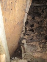 Fulp [Bridge Keeper's] House, see detailed caption #619 (2010)