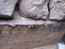 Fulp [Bridge Keeper's] House, see detailed caption #1618 (2010)