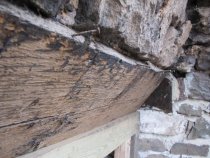 Fulp [Bridge Keeper's] House, see detailed caption #1622 (2010)