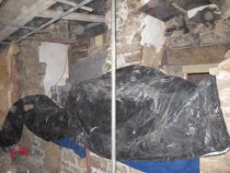 Fulp ["Bridge Keeper's"] House, see detailed caption #1794 (2010-11