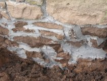 George Douglass House, see detailed caption #3690 (2011)