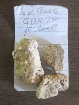 George Douglass House, see detailed caption #3048 (2013)