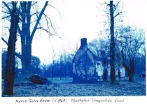 Image #2: blue-tone "cyanotype" print from same negative as #1