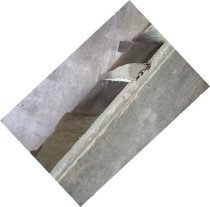 #6: Beaded stringer carrying treads