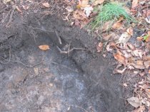 #18, 7076-Morlatton parking area test-excavation, amber clay bed