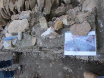 #6, 6775-Plan view of photo 6743 showing radial intrados stones