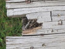 4179 - Kem House rotted porch floorboards
