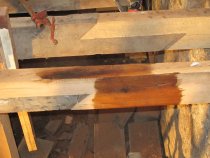 Image #5, Joist extensions treated with a borate insect preservative