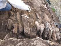 #7, photo 6688: removing loose, leaking soil-fill from vault exterior