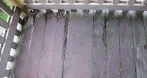 Image #1: Keim house deteriorated porch floor boards