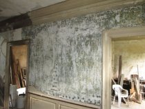#3, 8743: Center passage plaster consolidated, cornice prepped for paint