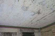 Image #3: Partially restored,leveled,anchored,keyed ceiling plaster