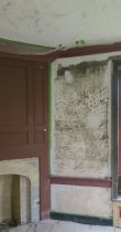 #5: Discolored old plaster, re-set woodwork, back parlor