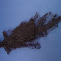 1825 Lace from Essex, Massachusetts