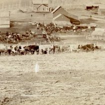 J. F. Benjamin Ranch, Pierce Neb. 1-14-1899