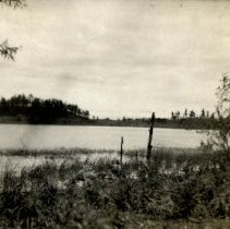 Island at Lake Waconia