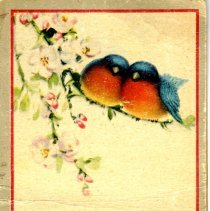 Needle book-Citizens Bank, Hutchinson, Mn