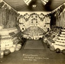 1917 Minnesota State Fair, McLeod County 2nd premium exhibit