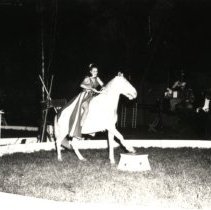 Circus horse & rider-Gould circus
