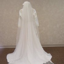 Jane Birkholz Bach wedding dress & veil