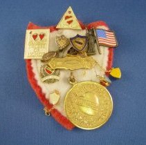 Degree of Honor pin collection