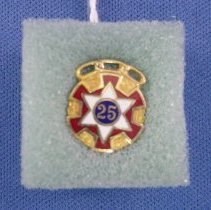 IOOF 25 year pin
