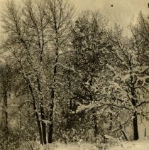 Beaver Creek, Morton, MN