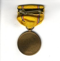 American Defense medal reverse