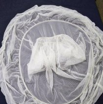 Phyllis Zierke Weseloh wedding hoop underskirt