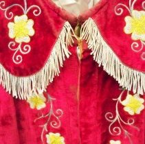 IOOF Past Noble Grand robe collar front detail