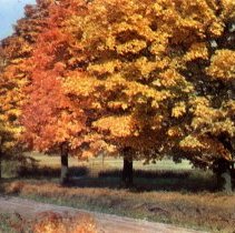 Greetings from Hutchinson, Minnesota