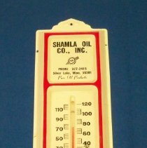Novelty thermometer