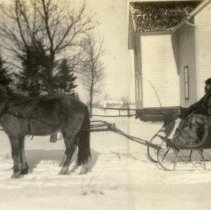 Horse & sleigh
