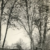 Harry Leonard Merrill