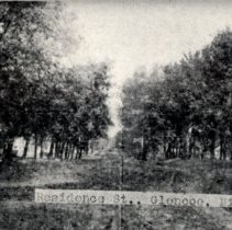 Residential street, Glencoe, MN