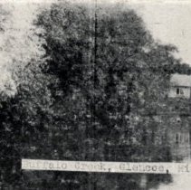 Buffalo Creek, Glencoe, MN