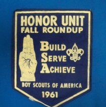 Brownton Boy Scout Troop 351 patch