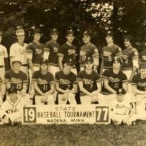 Plato, MN 1977 State Baseball Tournament team