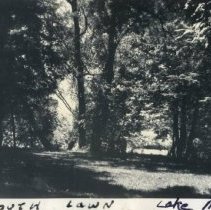 Gaines property at Lake Marion