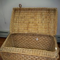 Wicker trunk