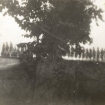 Ford Ave N. in Glencoe, facing northeast