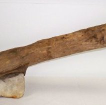 Tree Branch with Rock