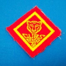 Cub Scout bear patch