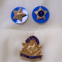 Cub Scout pins