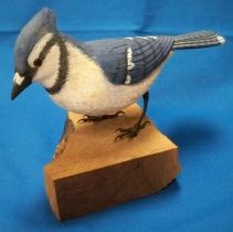 Bluejay-Leonard Erickson