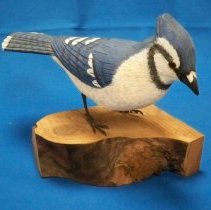 Bluejay-Leonard Erickson