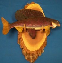 Arctic Grayling Fish-Leonard Erickson